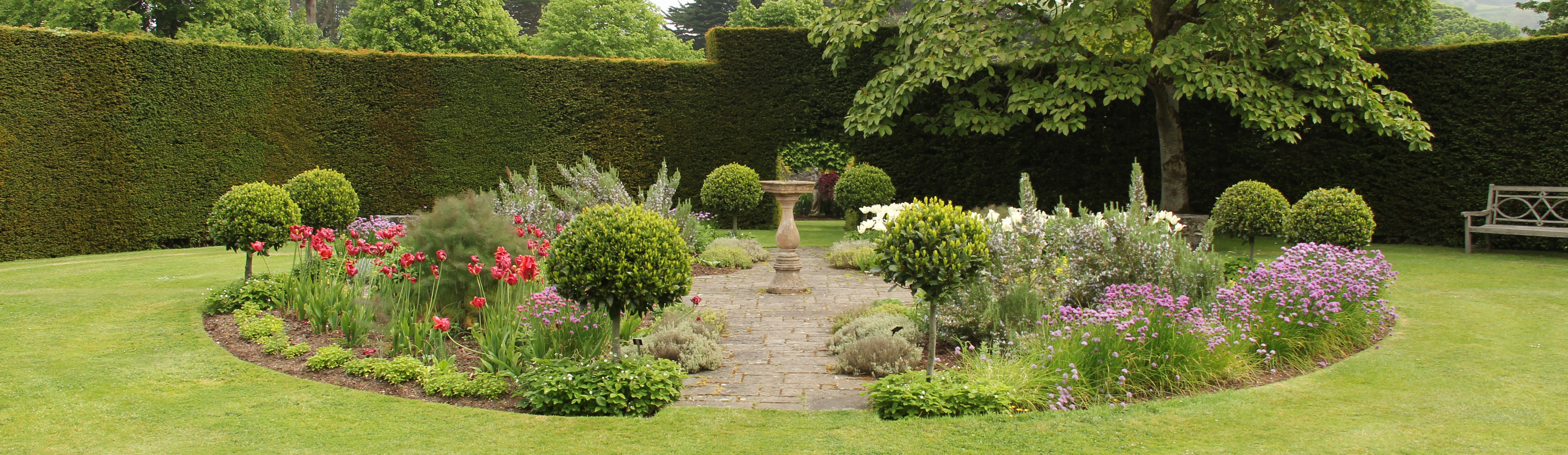 Bild eines Gartnes mit Sträuchern, einer Wiese und einer großen Hecke